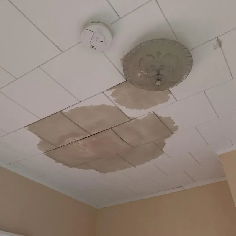 Ceiling Water Damage Repair in Unionport, NY