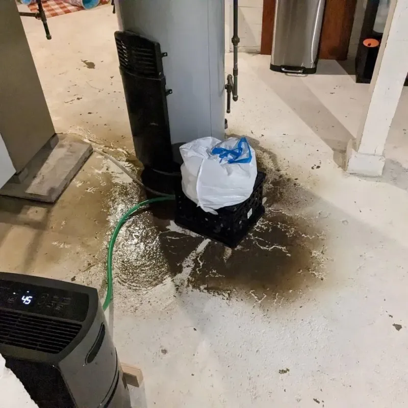 Sewage Backup Cleanup Service in Unionport, NY